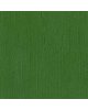 Bazzill - Mono Canvas 30x30 - Green