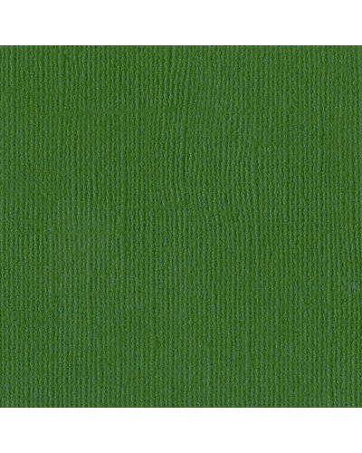 Bazzill - Mono Canvas 30x30 - Green
