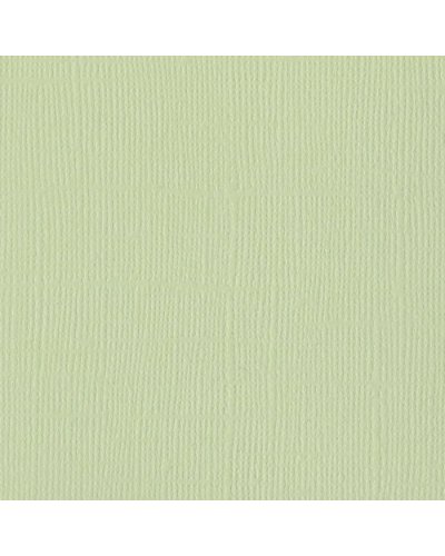 Bazzill - Mono Canvas 30x30 - Aloe Vera