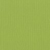 Mono Canvas 30x30 - Parakeet | Bazzill