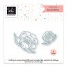 Dies - Les pivoines - SO'Special | Sokai