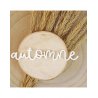 Mot acrylique - Automne | Alúa Cid