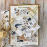 Die-cuts - Storybook | Chou & Flowers