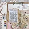 Tampon clear A7 - La vie en rose - Victoria Street | Chou & Flowers