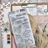 Tampon clear DL - La Lanterne - Victoria Street | Chou & Flowers