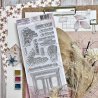 Tampon clear DL - La Boutique - Victoria Street | Chou & Flowers