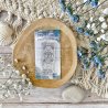 Tampon clear A8 - Le campeur - Globe-trotter | Chou & Flowers