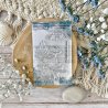 Tampon clear A7 - Coco - Globe-trotter | Chou & Flowers