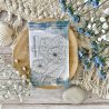 Tampon clear A7 - Fleur de kiwi - Globe-trotter | Chou & Flowers