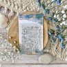 Tampon clear A7 - Fond Tâche - Globe-trotter | Chou & Flowers