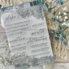 Tampon clear A5 - Citations Voyage - Globe-trotter | Chou & Flowers