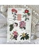 Chou & Flowers - Kit 20 papiers A4 - Junk - Globe-trotter