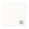 Papier calque - Pluie d'étoiles - Perseidas | Lora Bailora