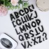 Tampon clear - ABC Bunch | Alúa Cid