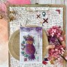 Tampon clear A7 - La Chouette - Cabinet de curiosités | Chou & Flowers