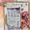 Tampon clear A6 - Les souris savantes - Cabinet de curiosités | Chou & Flowers