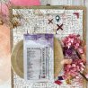 Tampon clear A7 - Iconographie - Cabinet de curiosités | Chou & Flowers