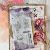 Tampon clear DL - Specimen - Cabinet de curiosités | Chou & Flowers