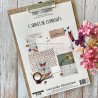 Les Junks d'automne A4 - Cabinet de curiosités | Chou & Flowers