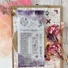 Tampon clear DL - Formule - Cabinet de curiosités | Chou & Flowers