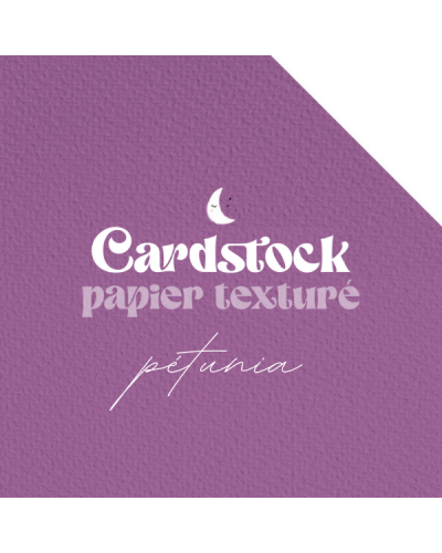 RitaRita - Cardstock - Papier texturé - Pétunia