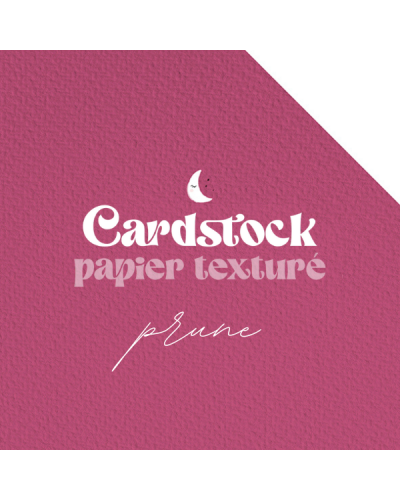 RitaRita - Cardstock - Papier texturé - Prune