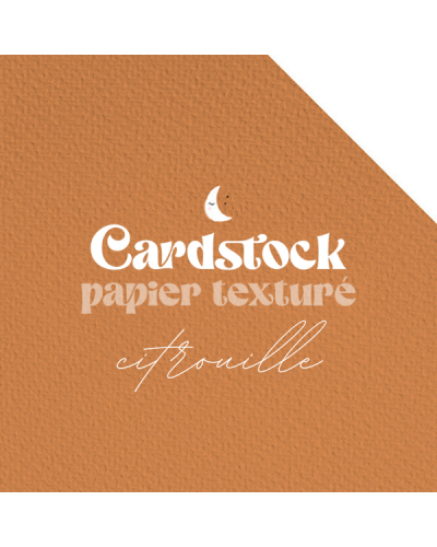 RitaRita - Cardstock - Papier texturé - Citrouille