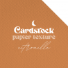 Cardstock - Papier texturé - Citrouille | RitaRita