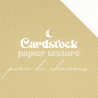 Cardstock - Papier texturé - Peau de Chamois | RitaRita