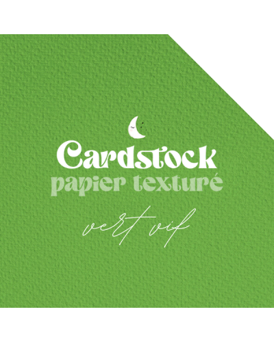 RitaRita - Cardstock - Papier texturé - Vert Vif 