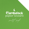 Cardstock - Papier texturé - Vert Vif | RitaRita