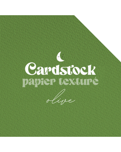 Cardstock - Papier texturé - Olive | RitaRita