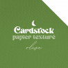 Cardstock - Papier texturé - Olive | RitaRita