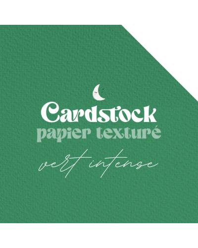 Cardstock - Papier texturé - Vert Intense | RitaRita