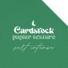 Cardstock - Papier texturé - Vert Intense | RitaRita