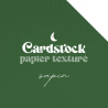 Cardstock - Papier texturé - Sapin | RitaRita