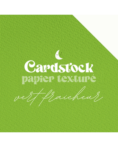 RitaRita - Cardstock - Papier texturé - Vert Fraîcheur