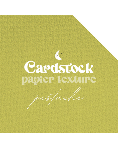 Cardstock - Papier texturé - Pistache | RitaRita