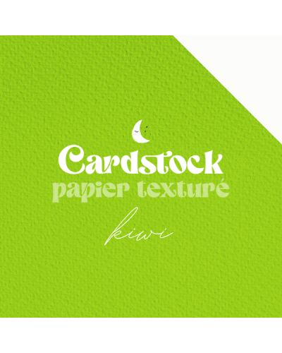 RitaRita - Cardstock - Papier texturé - Kiwi