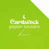 Cardstock - Papier texturé - Kiwi | RitaRita