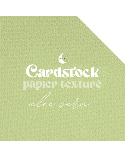 RitaRita - Cardstock - Papier texturé - Aloé Vera