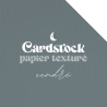 Cardstock - Papier texturé - Cendré | RitaRita