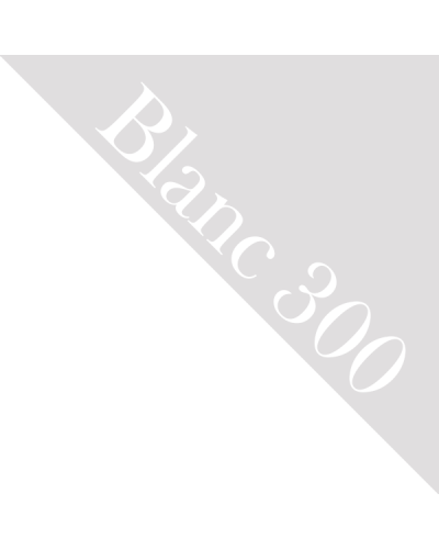 Papier cartonné 32x45 - Blanc 300g | RitaRita