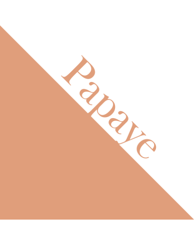 RitaRita - Papier cartonné 32x45 - Papaye