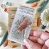 Tampon clear A8 - Mme Homard - Souvenirs d'été | Chou & Flowers