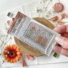 Tampon clear A8 - Mini palette - Peace and Love | Chou & Flowers