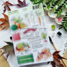 Tampon clear A5 - Légumes de saison - L'orée des bois | Chou & Flowers