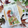 Tampon clear A6 - Mushrooms - L'orée des bois | Chou & Flowers