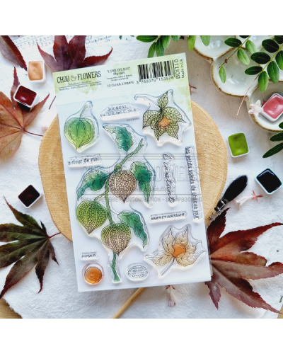 Chou & Flowers - Tampon clear A6 - Physalis - L'orée des bois