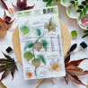 Tampon clear A6 - Physalis - L'orée des bois | Chou & Flowers